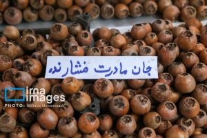 چاف نت