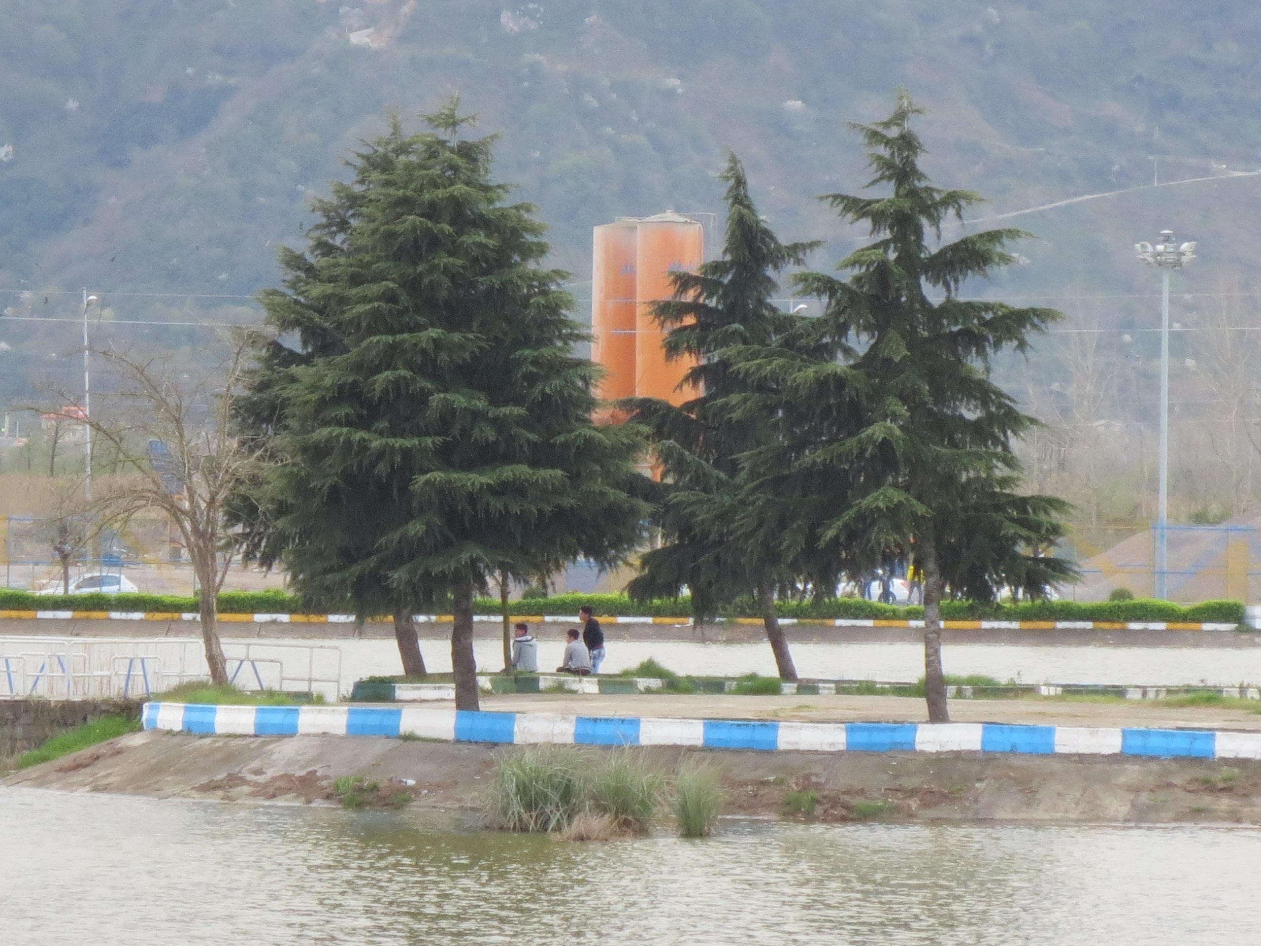 چاف نت